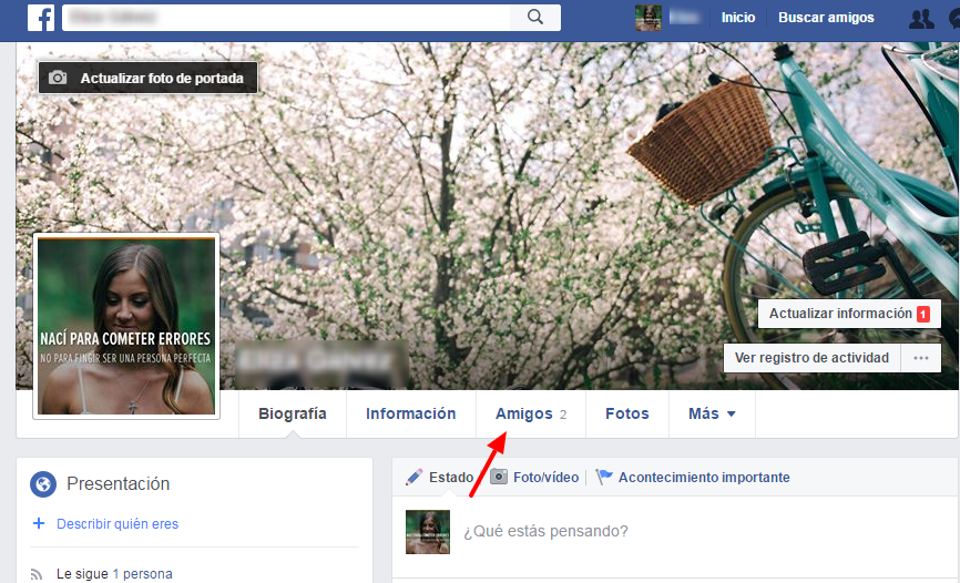 amigos facebook