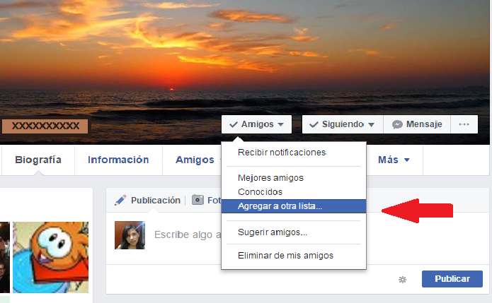 privacidad lista amigos facebook