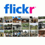 flickr logo