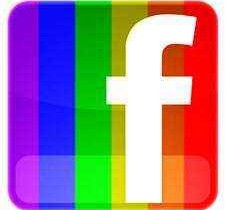 facebook union civil situacion sentimental