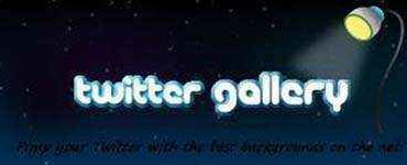 twitter gallery logo