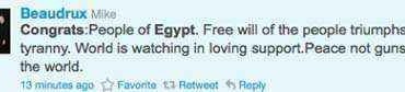 tweet9 egipto