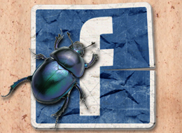 Error en Facebook permite secuestrar las páginas de fans a los administradores