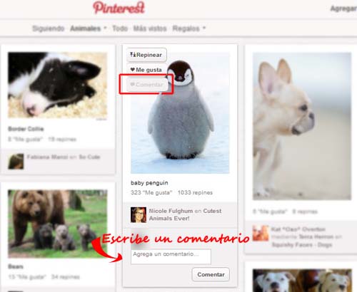 comentar en pinterest