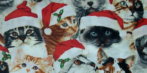 gatos en navidad