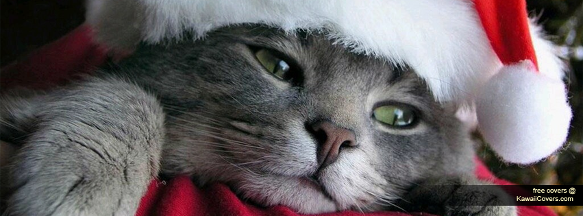  50 imágenes de Navidad para decorar la foto portada de Facebook
