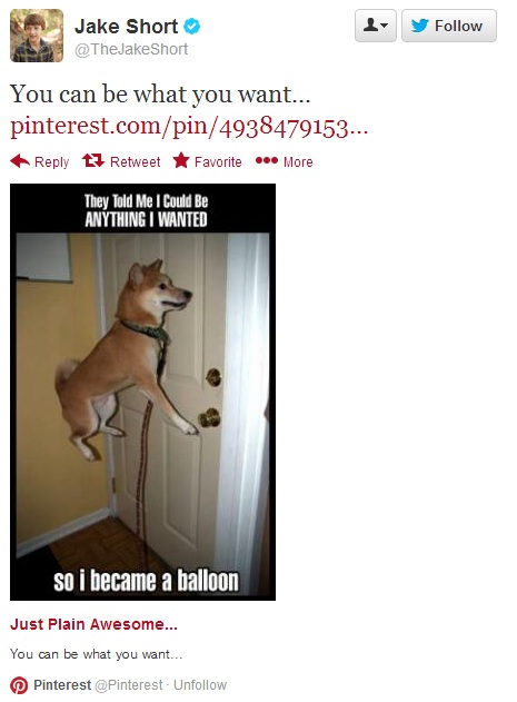 pin en Twitter