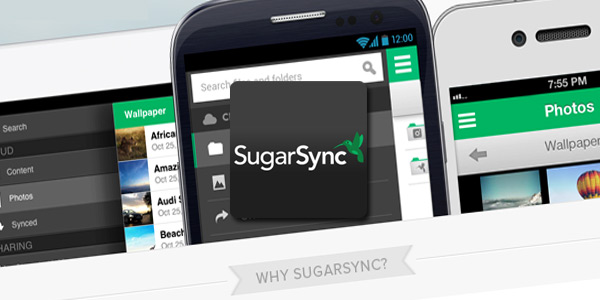 sugar sync