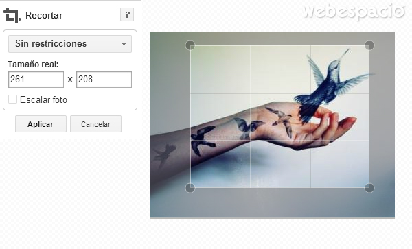 recortar kit creativo google plus
