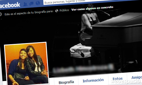 ver como ve el publico mi perfil de facebook