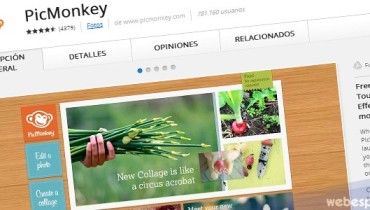 extension chrome picmonkey