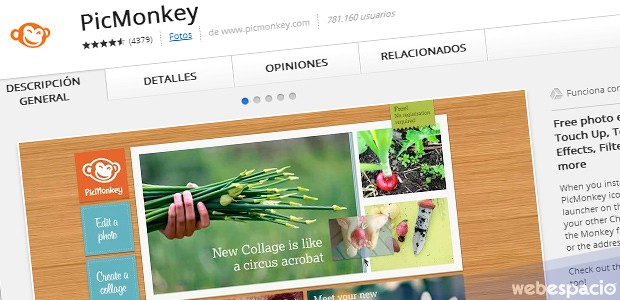 extension chrome picmonkey