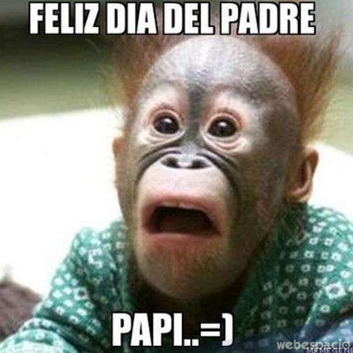 Top 20 memes más divertidos por el Día del Padre