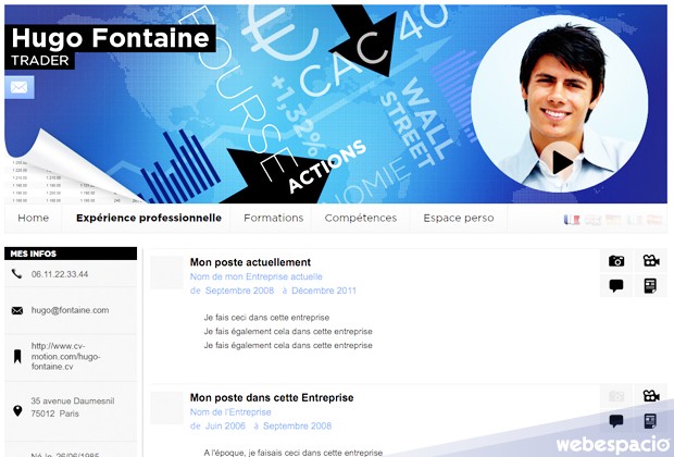 curriculum vitae online