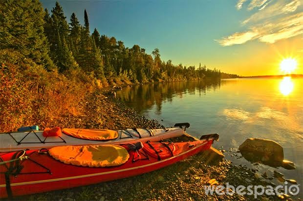 michigan-naturaleza