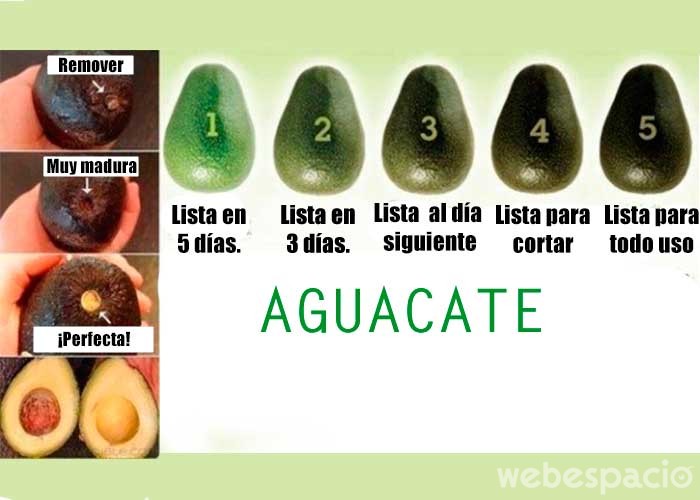 elije-tus-aguacates-o-paltas