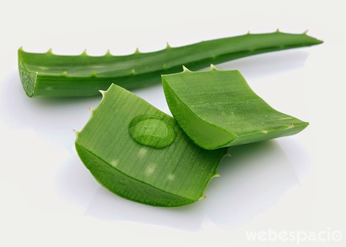 aloe vera para prevenir caida de cabello