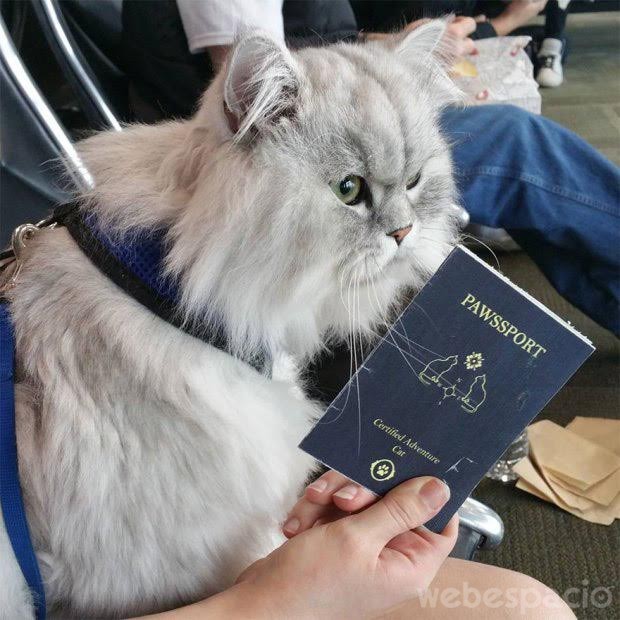 gandalf-pasaporte