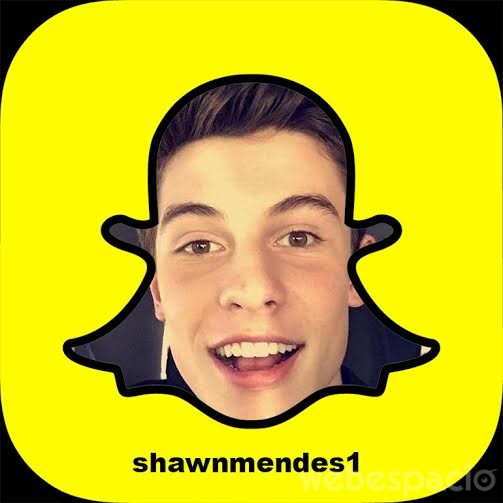 shawn-mende-snapchat