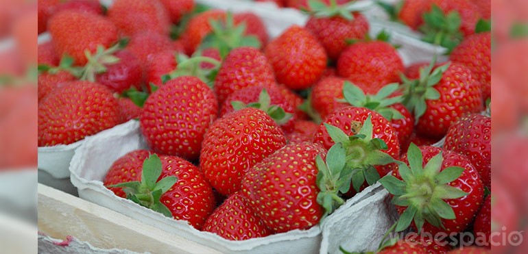 fresas alimento adictivo